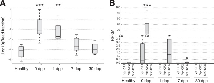 FIG 6 