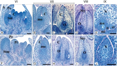 Fig. 6.