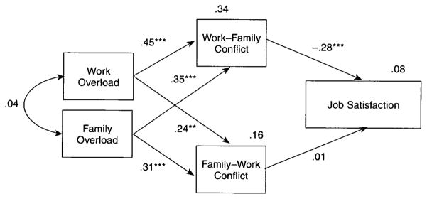 Role stress, interrole conflict, and job satisfaction among university ...