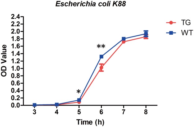 Fig 4