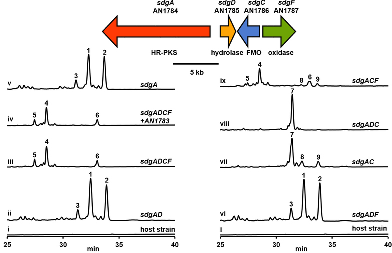 Figure 1.