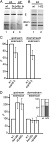 FIG. 7.