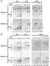 FIG. 4.