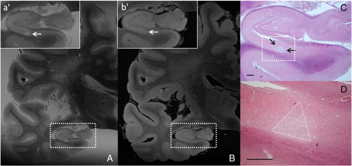 Fig. 6