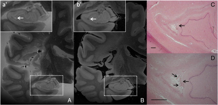 Fig. 5