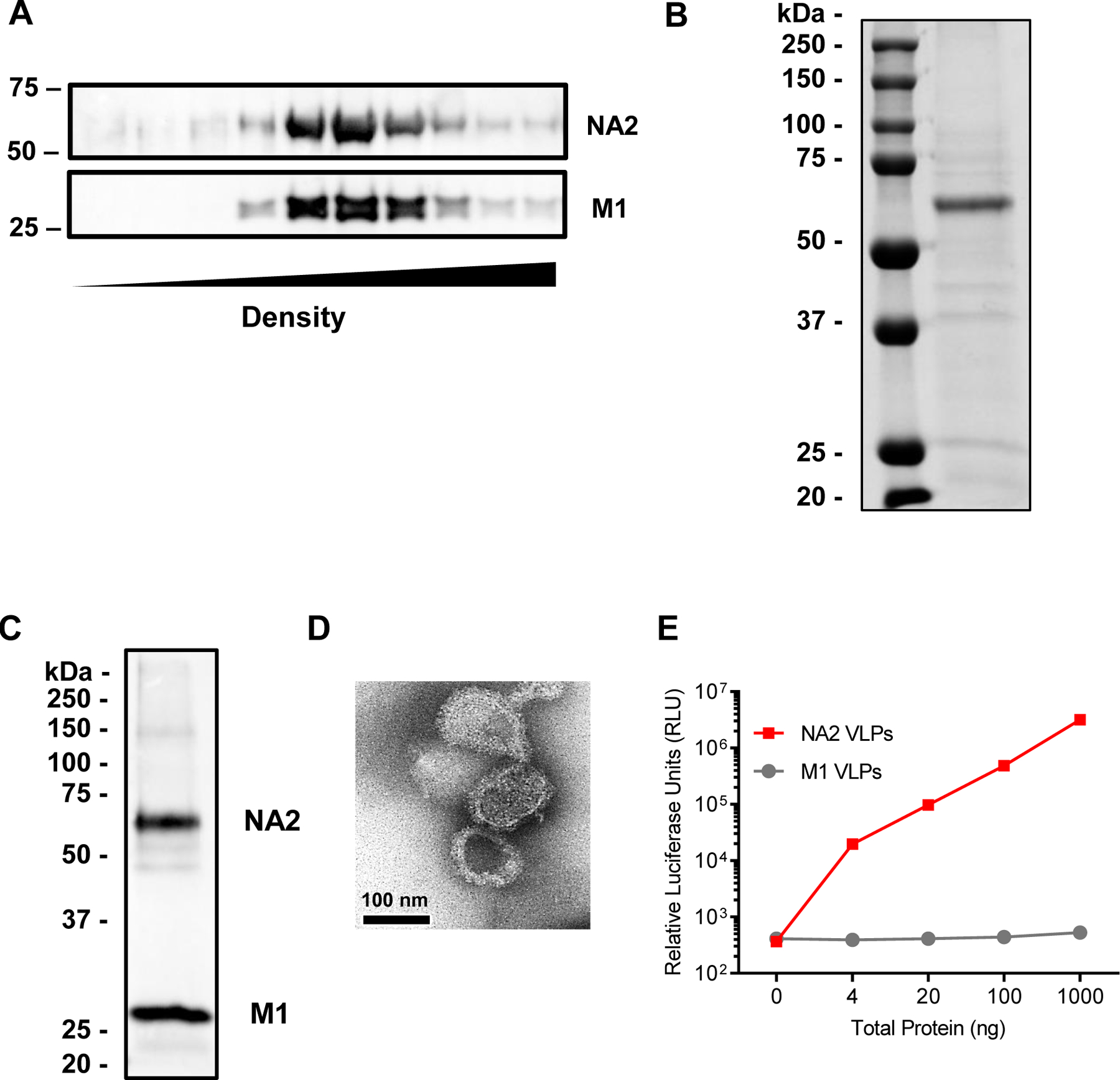 Figure 1: