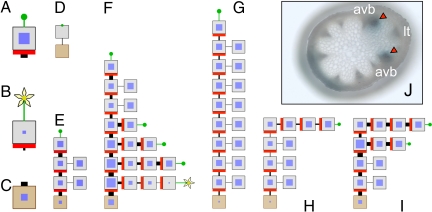 Fig. 2.