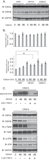 FIG 5