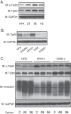 FIG 1