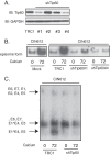 FIG 2