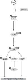 FIG 7