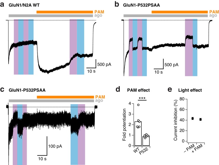 Figure 2—figure supplement 4.