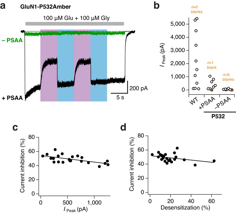 Figure 2—figure supplement 3.