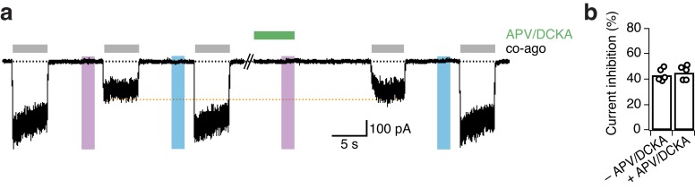 Figure 2—figure supplement 2.