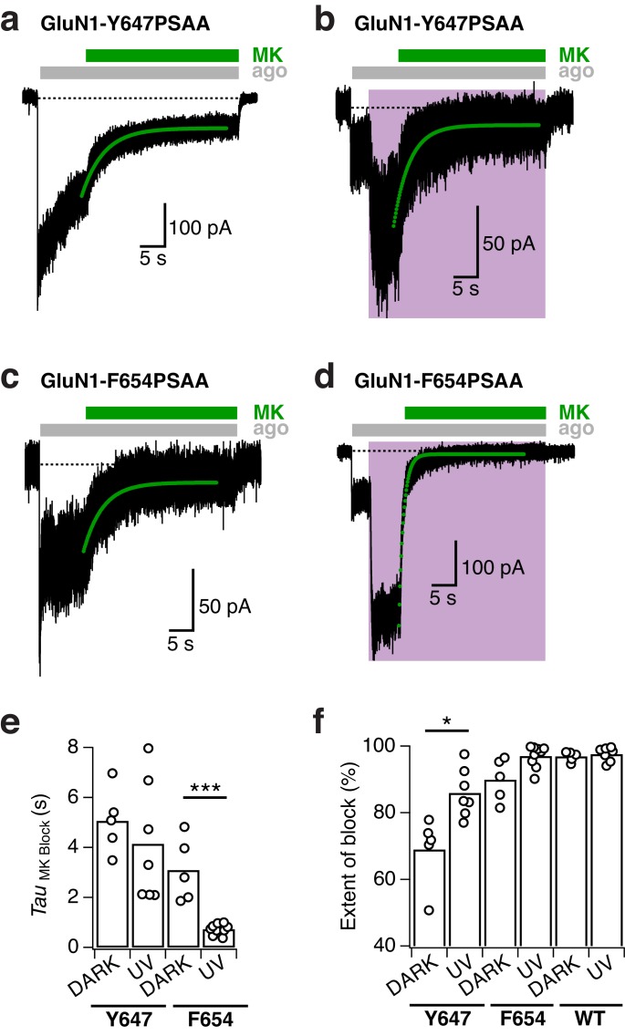 Figure 7—figure supplement 4.