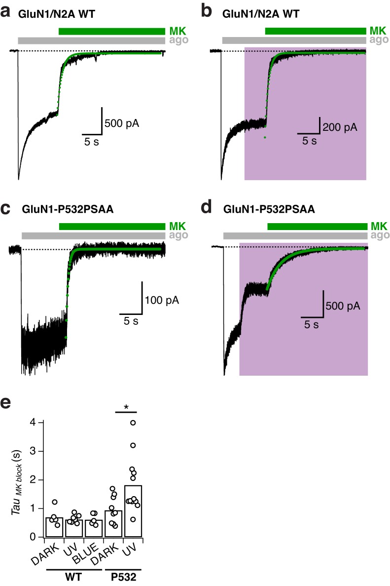 Figure 4—figure supplement 1.