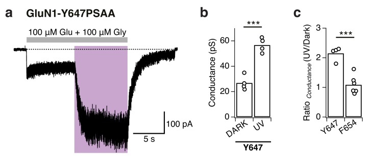 Figure 7—figure supplement 2.