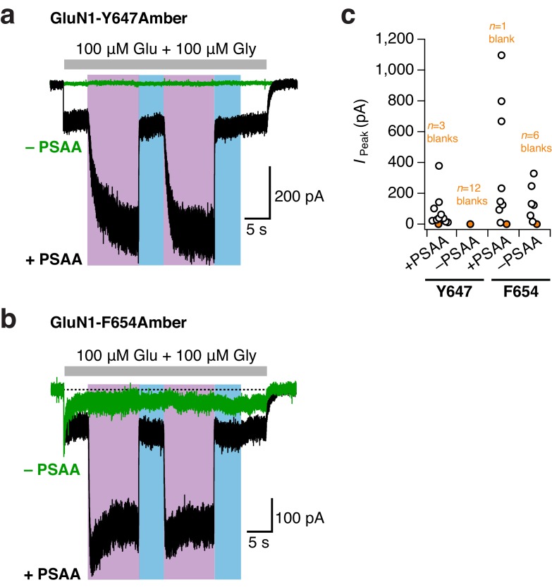 Figure 6—figure supplement 2.