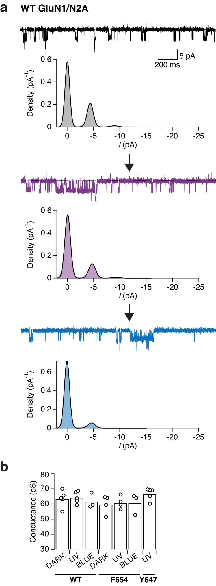 Figure 7—figure supplement 1.