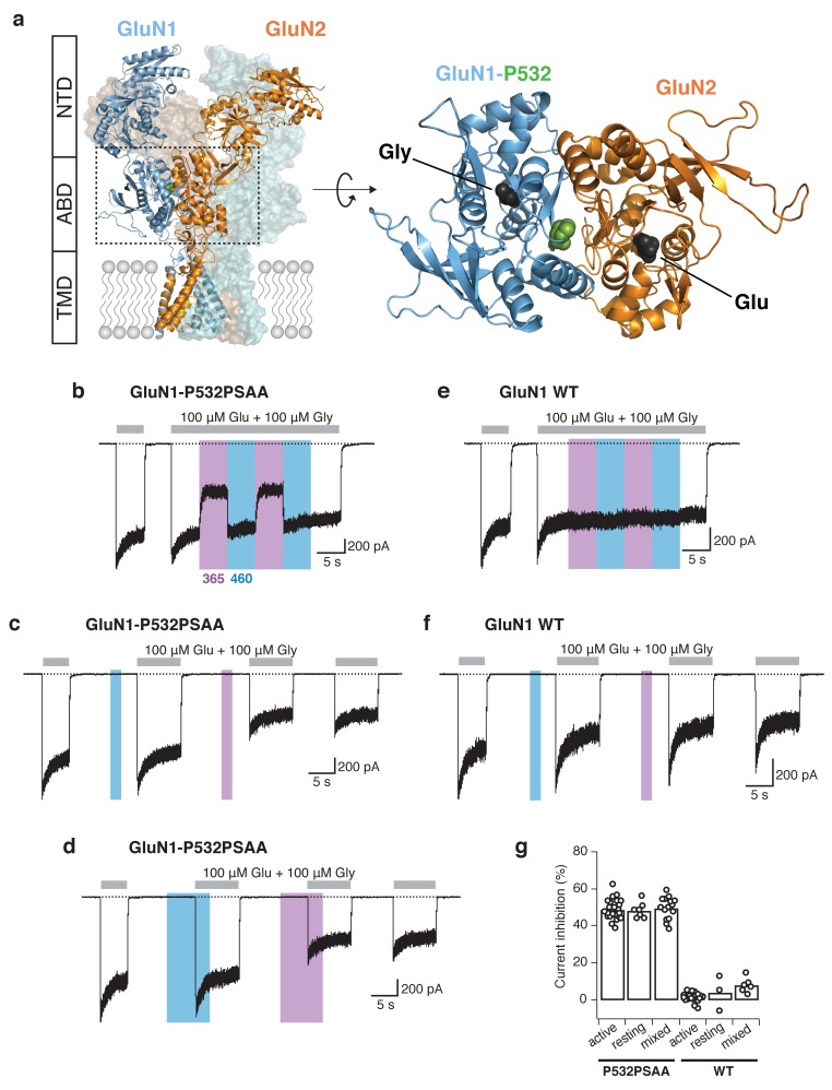 Figure 2.