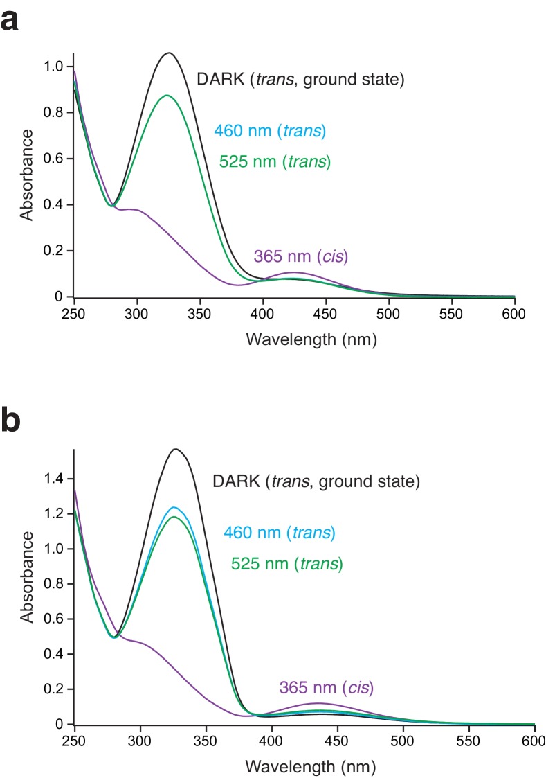 Figure 3—figure supplement 1.