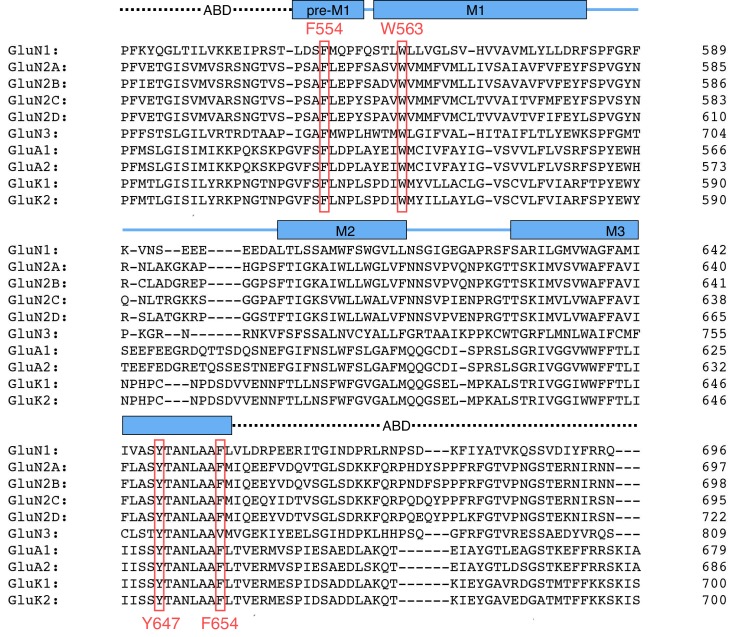 Figure 6—figure supplement 1.