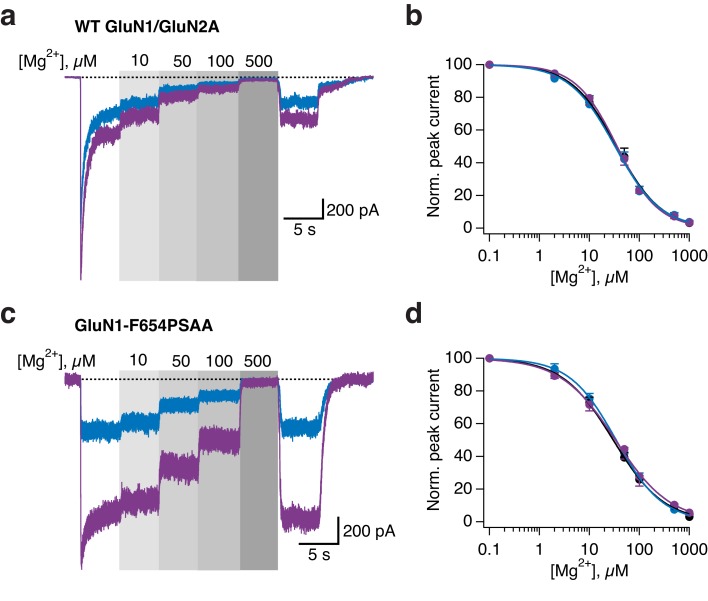 Figure 7—figure supplement 3.