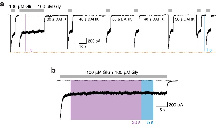 Figure 3—figure supplement 3.