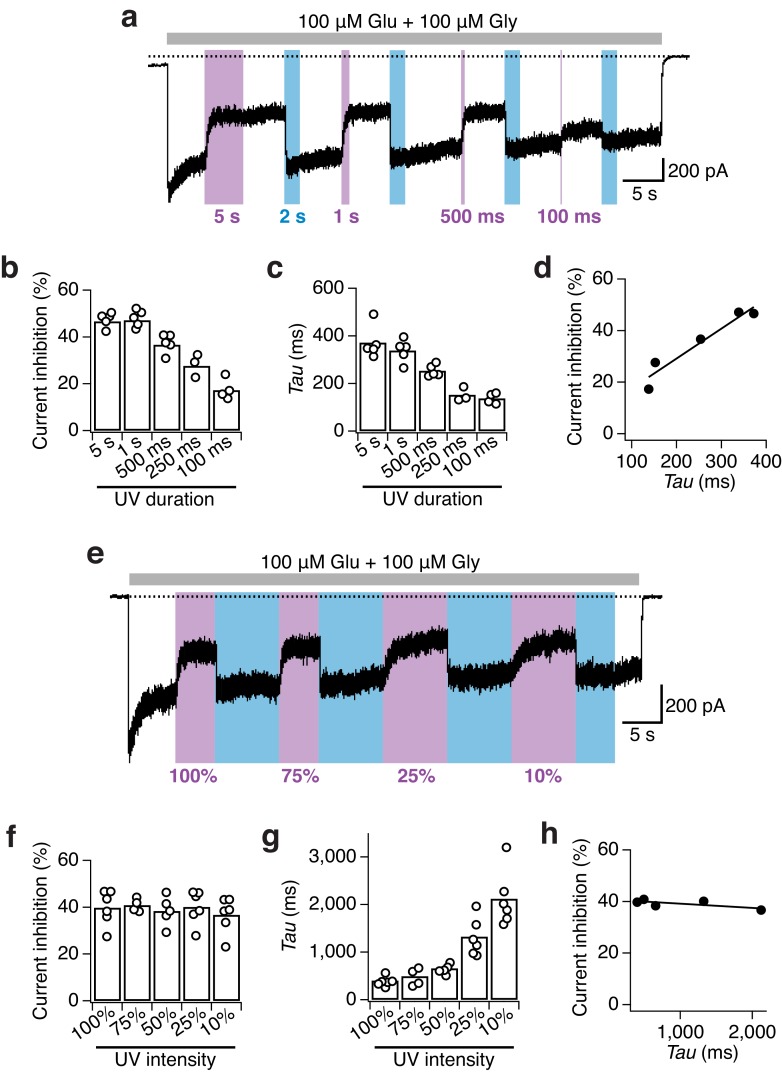 Figure 3—figure supplement 2.