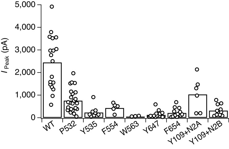 Figure 2—figure supplement 1.