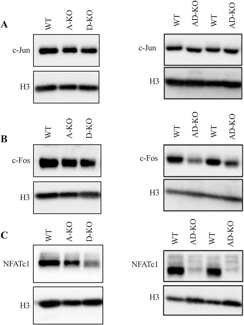 Figure. 4.