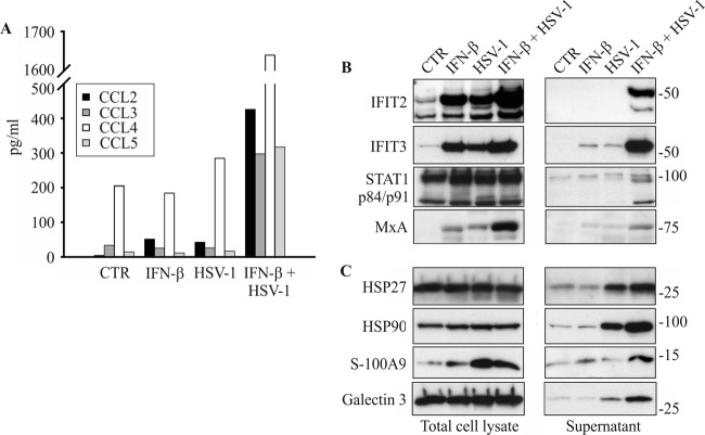 Fig 5