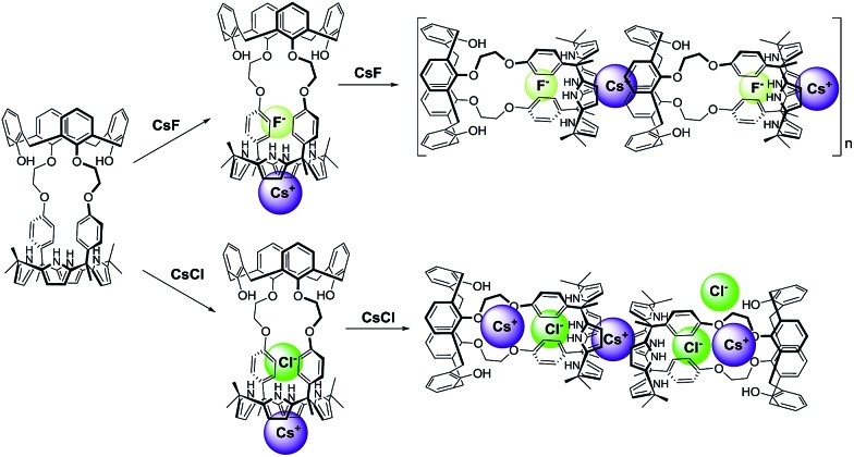 Fig. 10