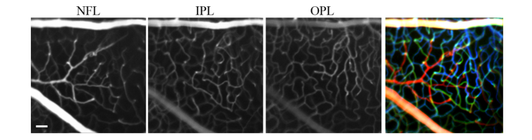 Fig. 9