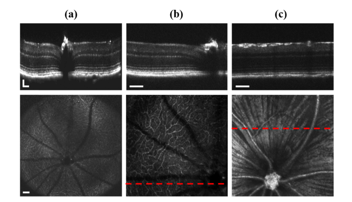 Fig. 3