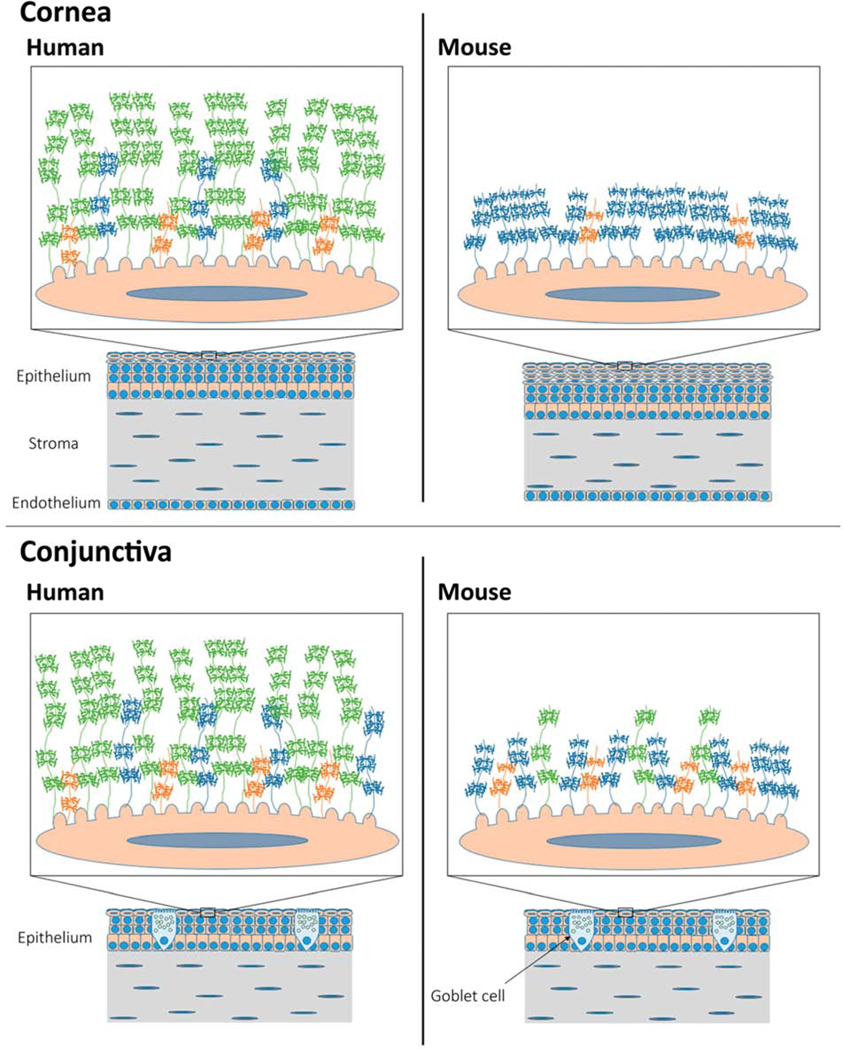 Figure 10.