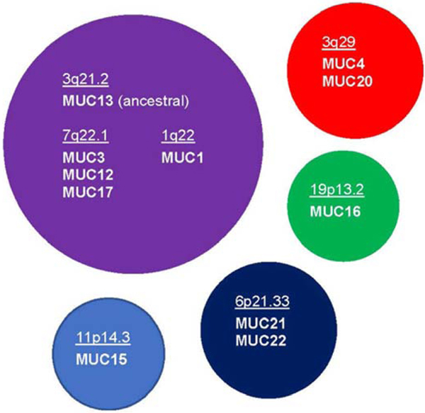 Figure 5.