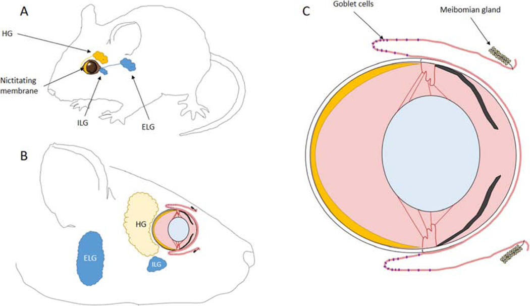 Figure 9.