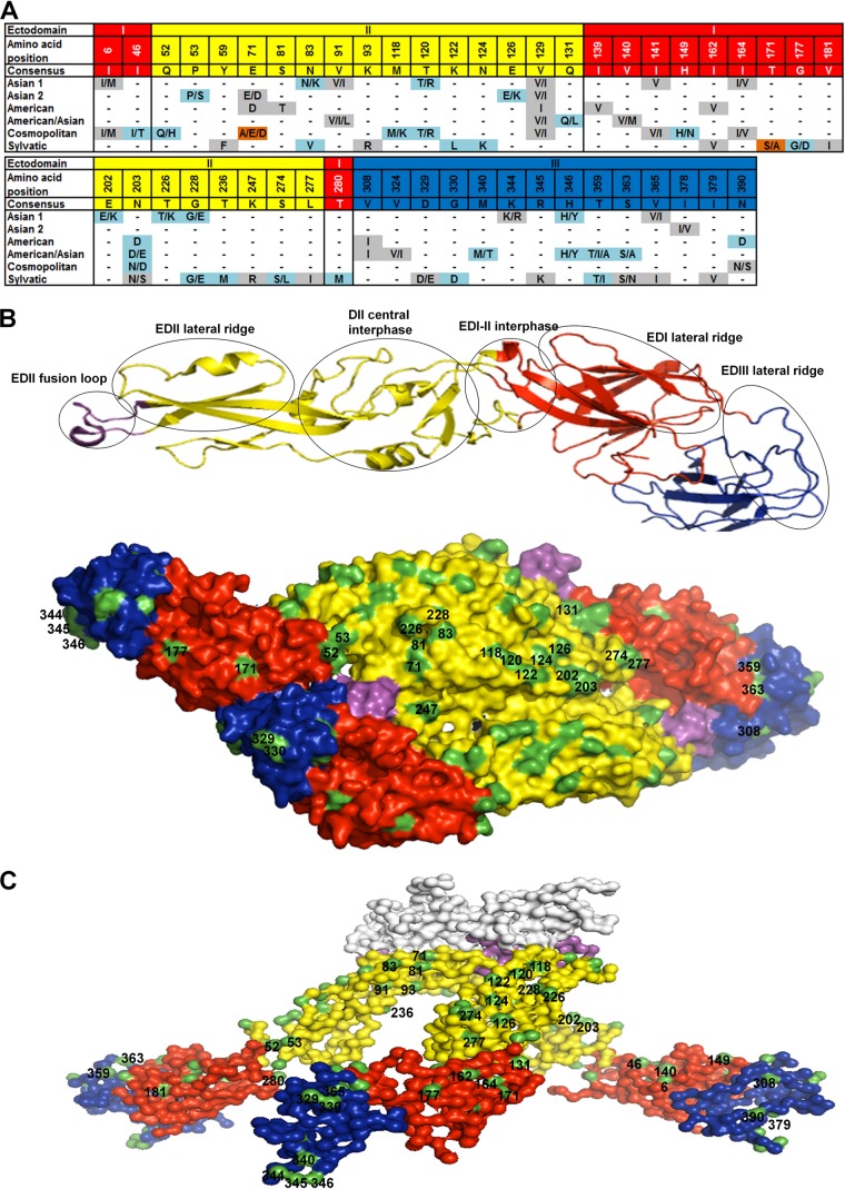 FIG 1