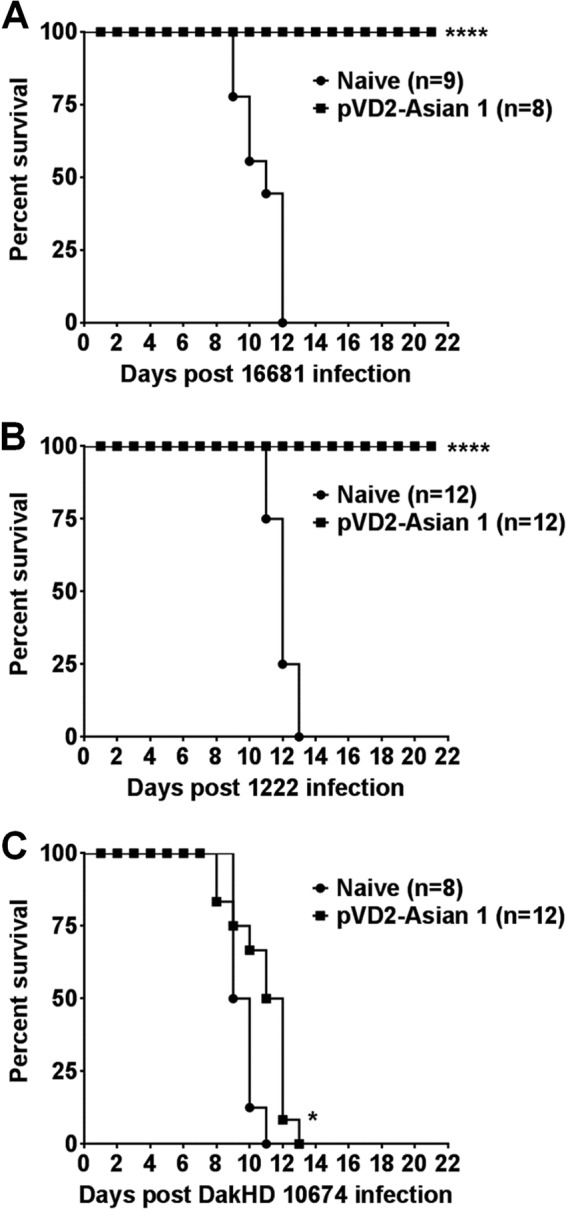 FIG 6