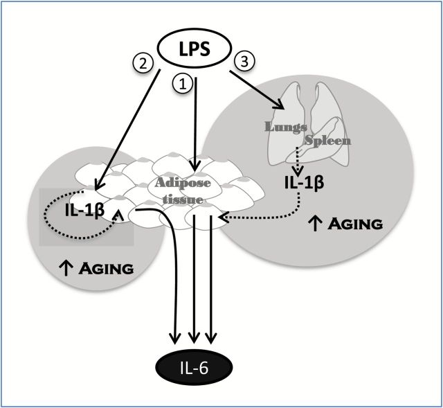 Figure 6.