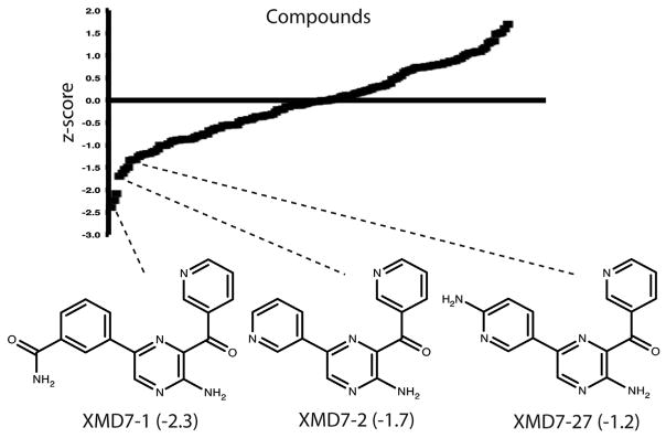 Fig. 1