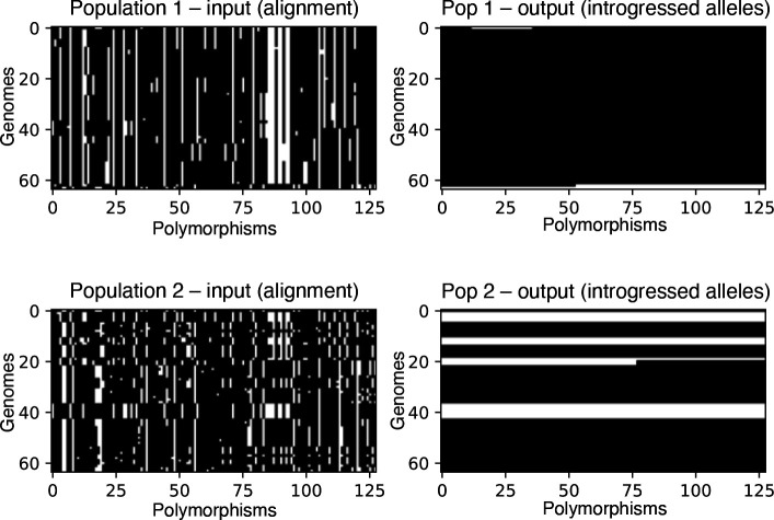Figure 1: