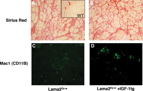 Figure 6.