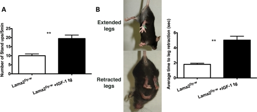 Figure 2.