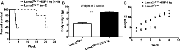 Figure 1.