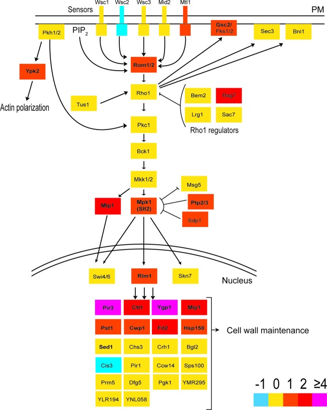 Fig 6