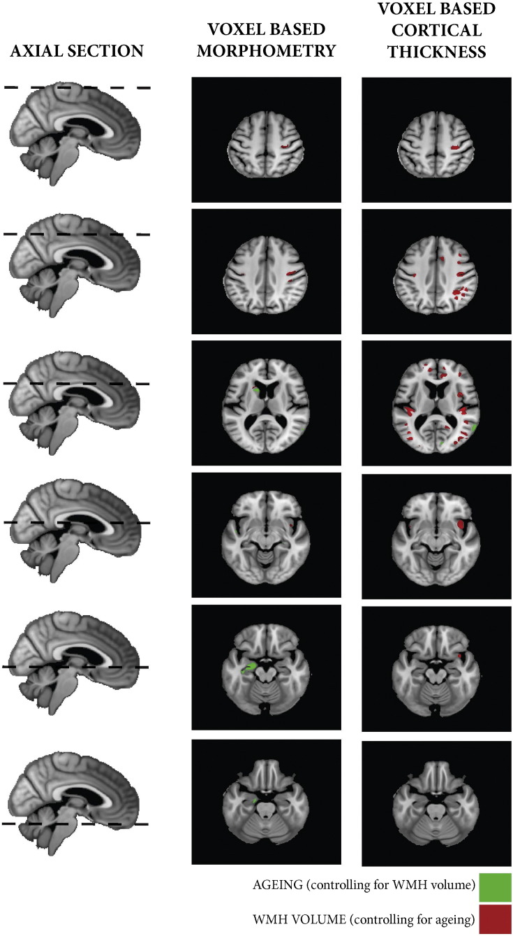 Supplementary Fig. 2