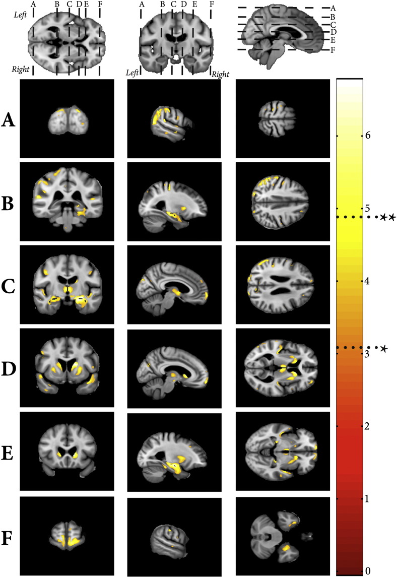 Fig. 4