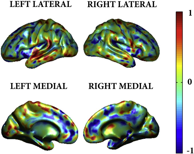 Supplementary Fig. 3